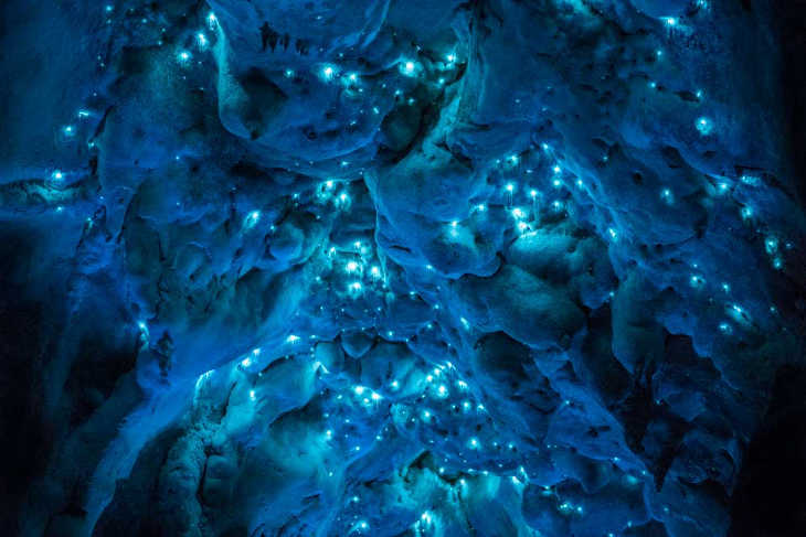 grotte-vers_luisants-5
