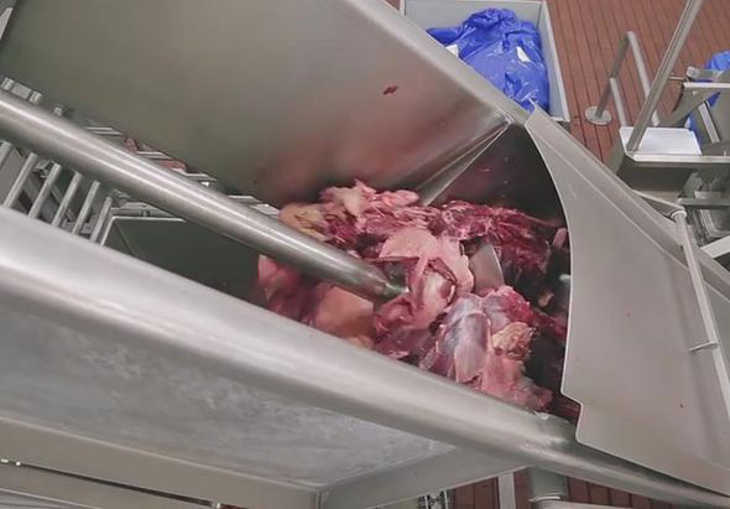viande