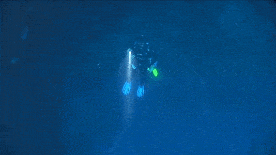 blob-under-water