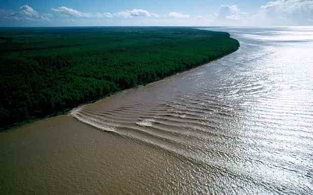 brazil-bore