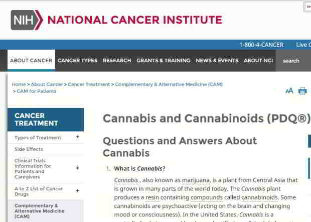 le cannabis-cancer