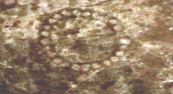 Kazakhstan-geoglyphs-circle