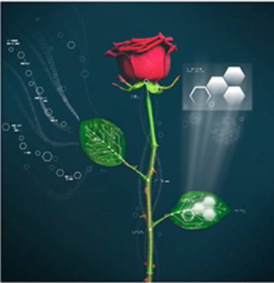 plantes-bioniques