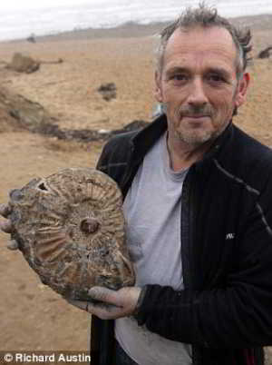 fossile-falaises-7