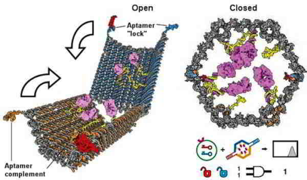 nanorobots