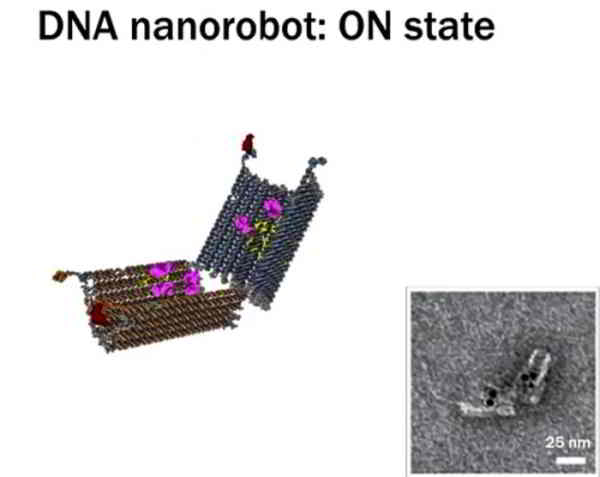 nanorobots-adn-next