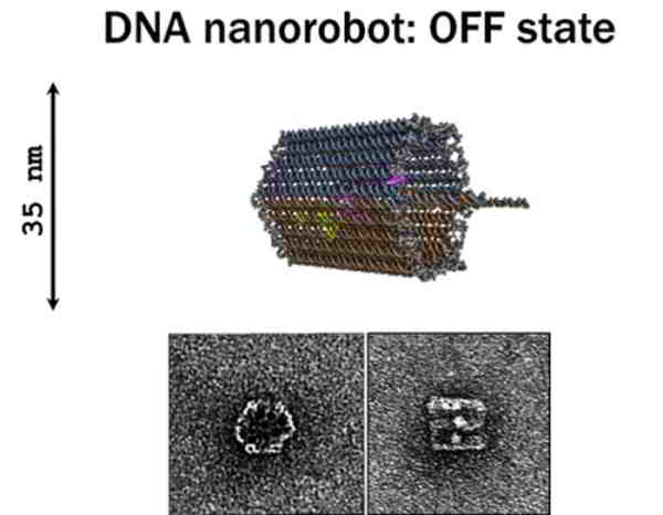 nanorobots-adn