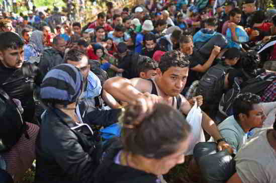 porc-interdit-migrants-allemagne