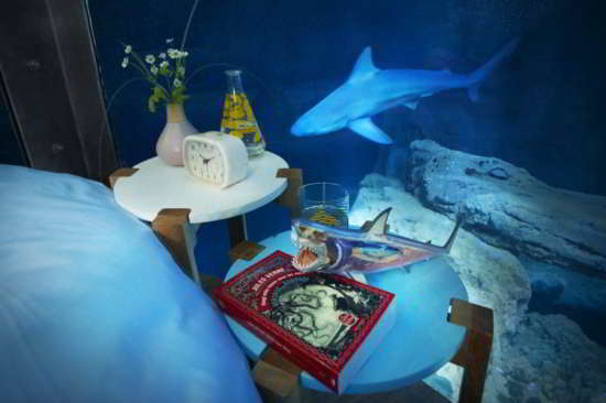aquarium