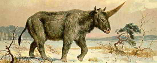 Heinrich Harder/Wikimedia