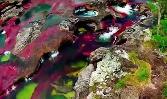 L'incroyable rivière aux couleurs arc-en-ciel