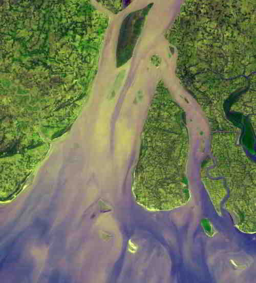 Le Delta de la rivière Hugli en Inde 