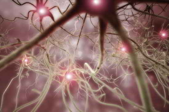 Il y a environ 86 milliards de neurones dans le cerveau