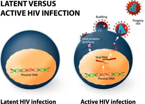 virus fossile