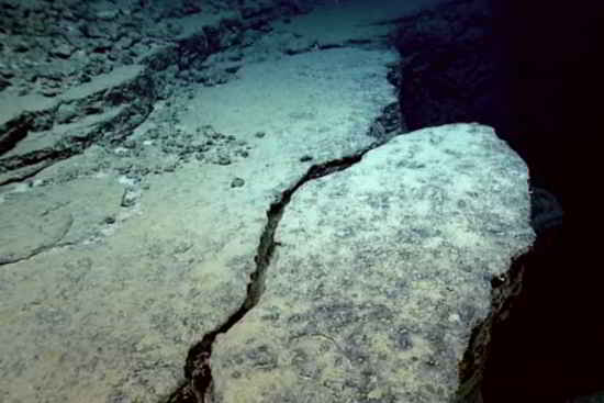 Les images ont été prises par National Oceanic and Atmospheric Administration's Okeanos Explorer