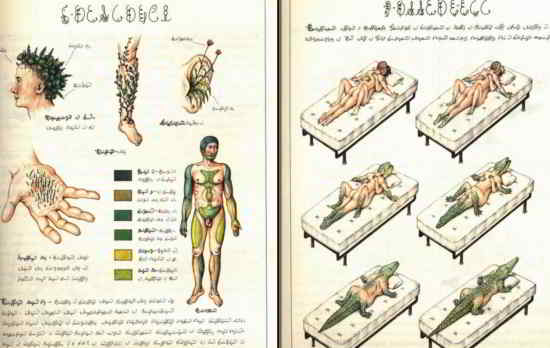 Codex-Seraphinianus-18