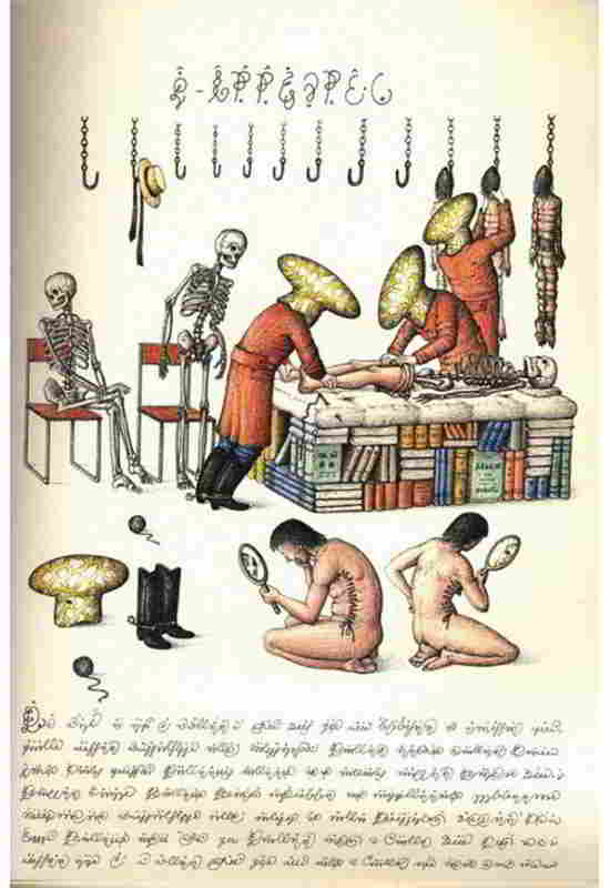 Codex-Seraphinianus-21