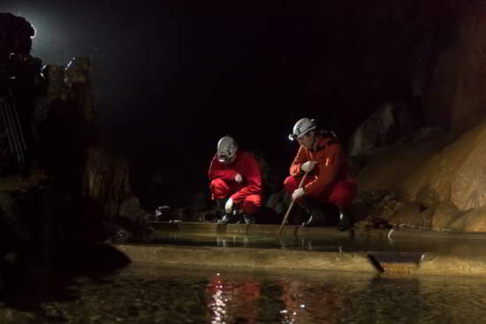 Les biologistes ont suivi les œufs chaque jour, qui ont été posées dans un aquarium spécial intégré dans la grotte. (Image : Postojna Cave)