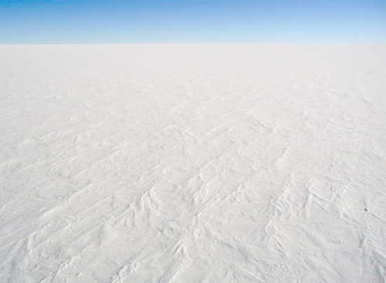 polar