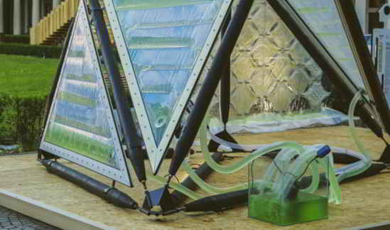 Canopée Urbaine Algae