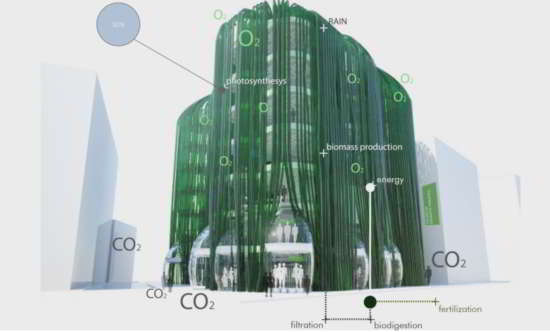 Et si nos logements nous fournissaient un jour nourriture, électricité et oxygène?