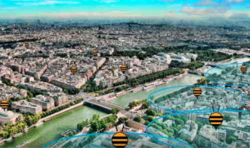 beehab