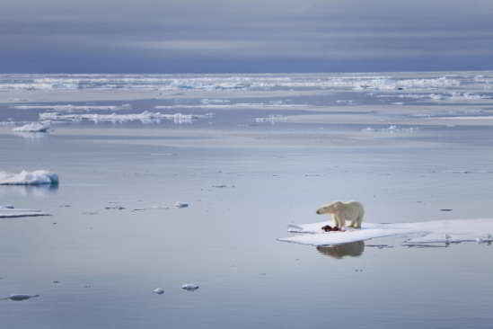 Réduire le taux de natalité est-il le moyen de ralentir le changement climatique ? (Photo : Getty)