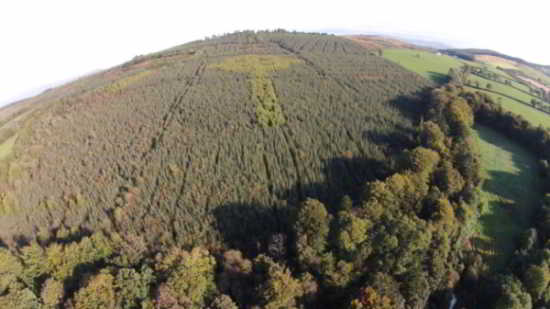celtic-cross-donegal-forest2