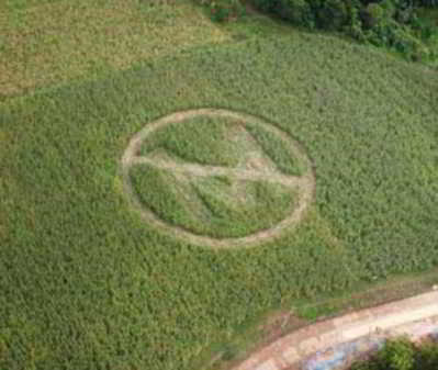 hungary-destroys-all-monsanto-gmo-corn-fields