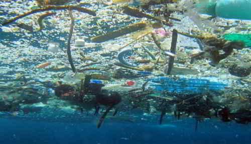 Photo par NOAA