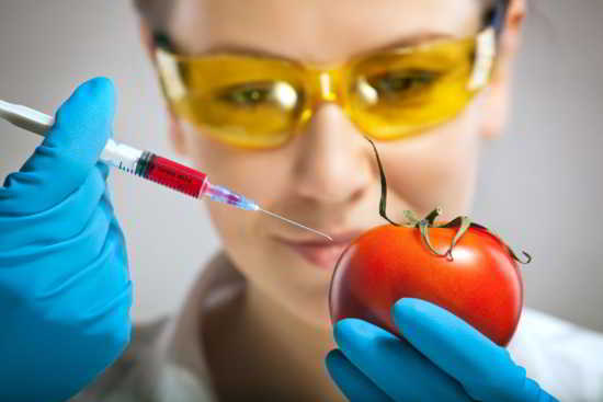 monsanto-manipulation-genetique1