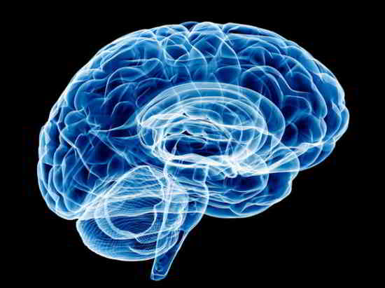 Les ordinateurs enverront des messages de la même manière que le cerveau humain
