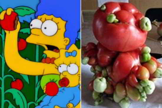 the-simpsons-tomato