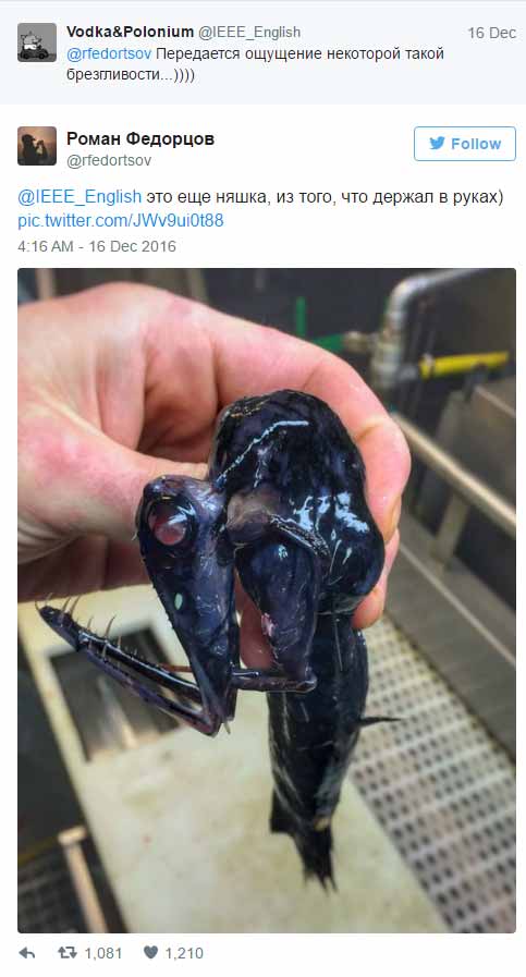 creature