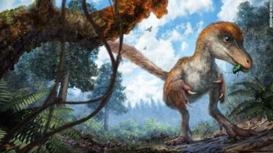 dinosaure-plume
