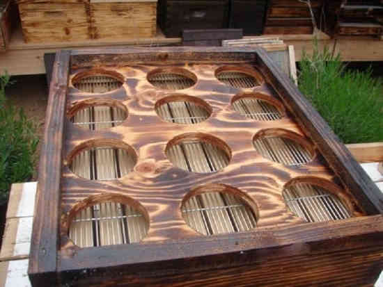 ruche maison