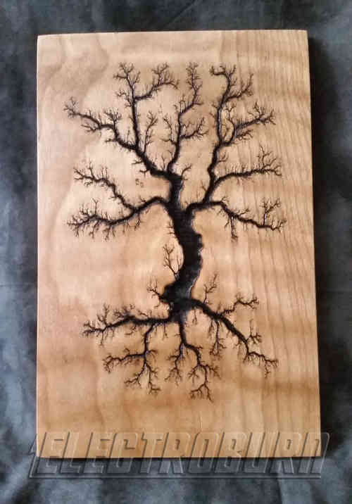 Figure de Lichtenberg