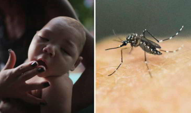 zika-virus-moustique