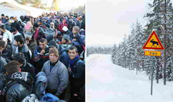 froid-refugies