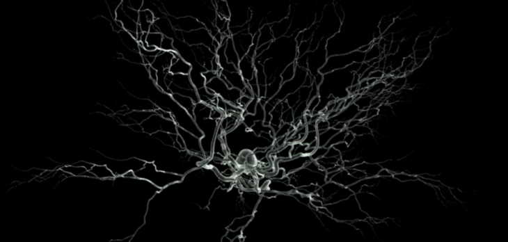 neurones-courrir