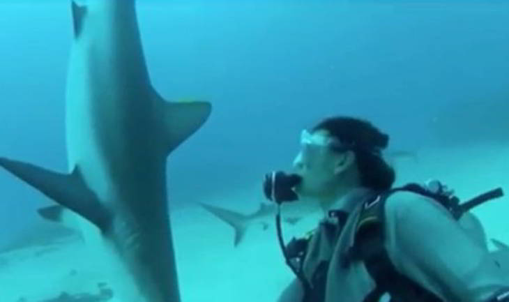 requins-hypno