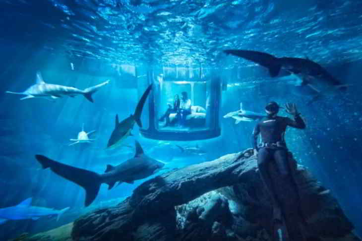 aquarium