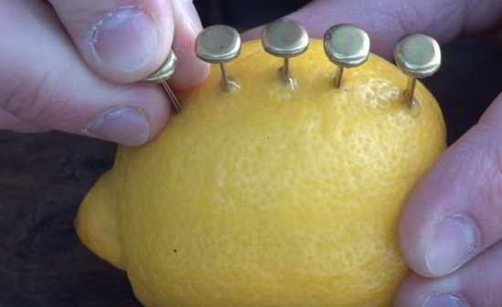 citron-pic
