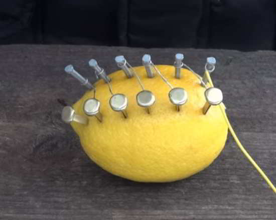 fil-citron