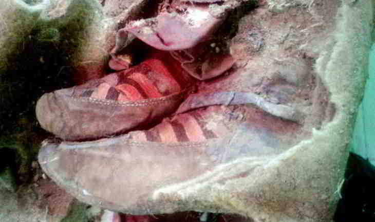 adidas