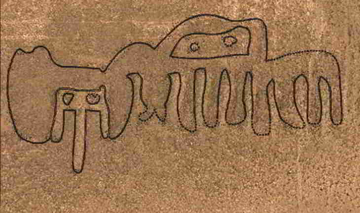 géoglyphe-nazca