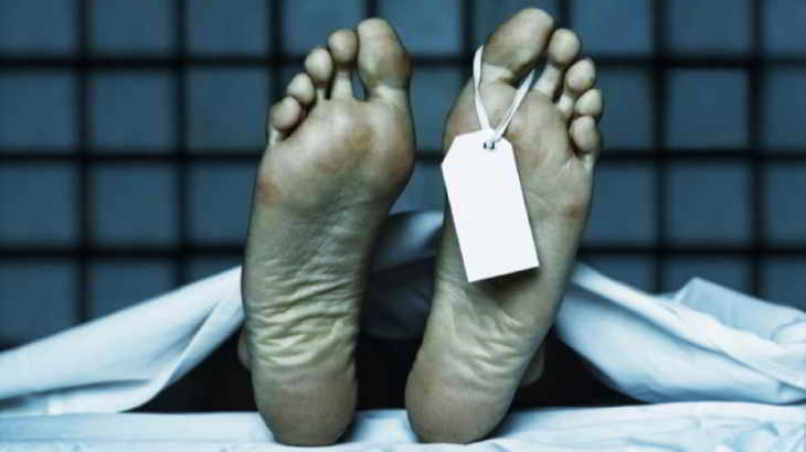 vie-mort-gènes