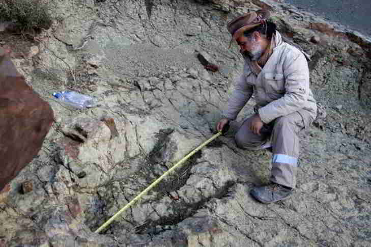 empreintes de dinosaure