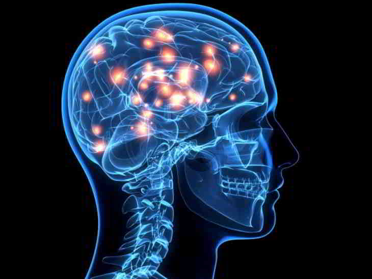 cerveau creux