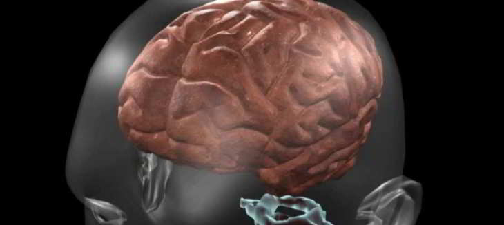 secrets du cerveau